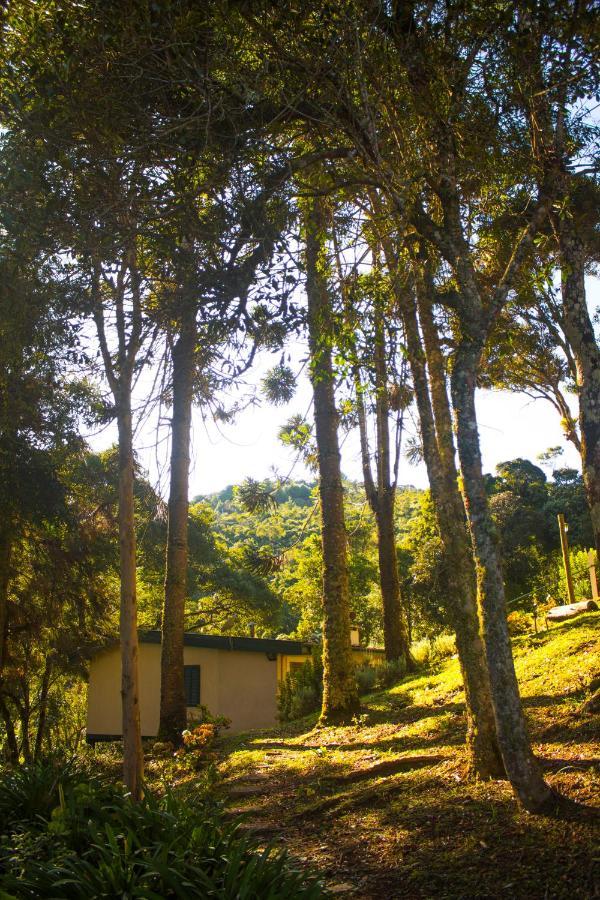 Casinha Do Sossego - Casa de férias Campos do Jordão